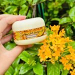 Shwe Pyi Naynn Thanaka face Pack